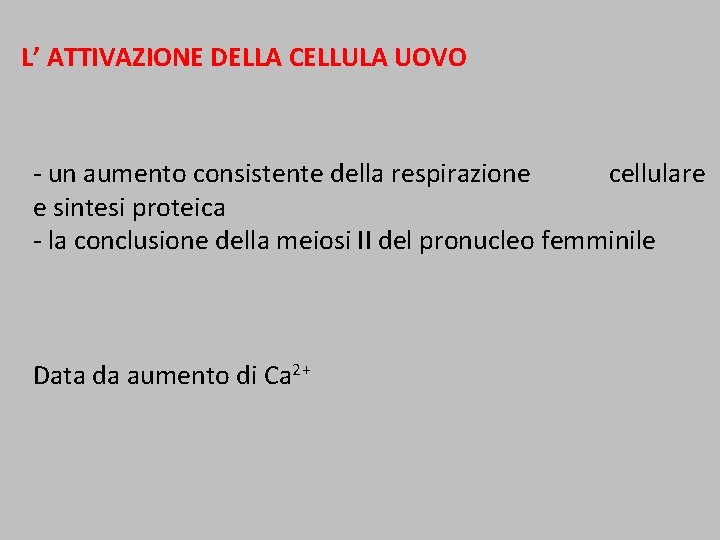 L’ ATTIVAZIONE DELLA CELLULA UOVO - un aumento consistente della respirazione cellulare e sintesi