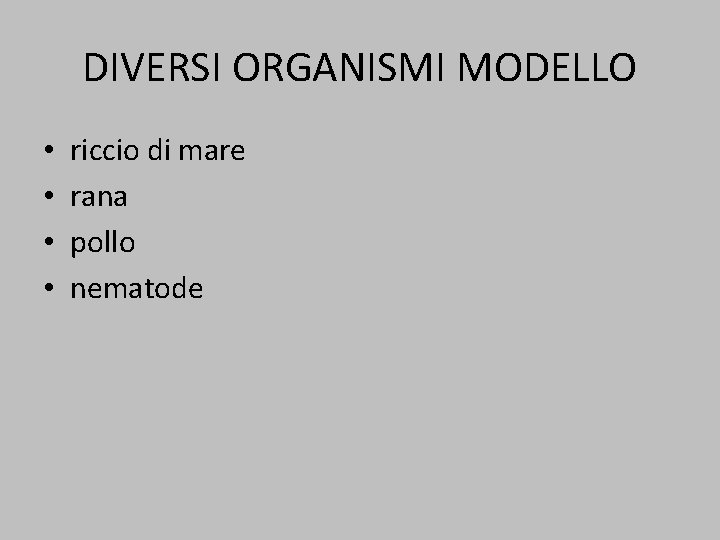 DIVERSI ORGANISMI MODELLO • • riccio di mare rana pollo nematode 