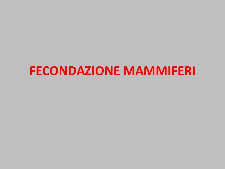 FECONDAZIONE MAMMIFERI 