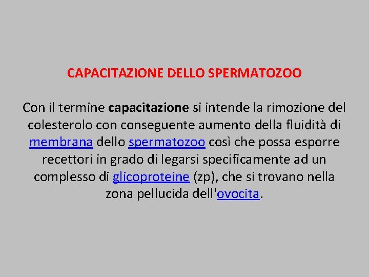 CAPACITAZIONE DELLO SPERMATOZOO Con il termine capacitazione si intende la rimozione del colesterolo conseguente