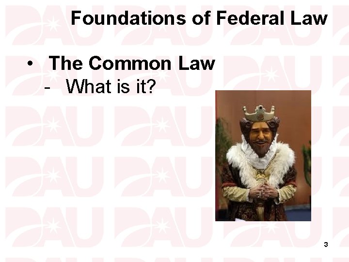 Foundations of Federal Law • The Common Law - What is it? 3 