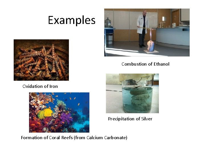 Examples Combustion of Ethanol Oxidation of Iron Precipitation of Silver Formation of Coral Reefs