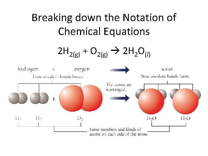 Breaking down the Notation of Chemical Equations 2 H 2(g) + O 2(g) 2