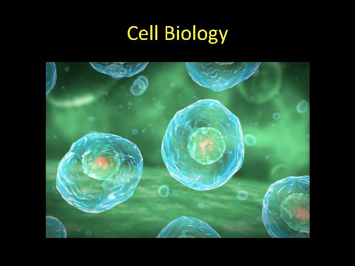 Cell Biology 