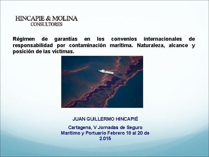 Régimen de garantías en los convenios internacionales de responsabilidad por contaminación marítima. Naturaleza, alcance