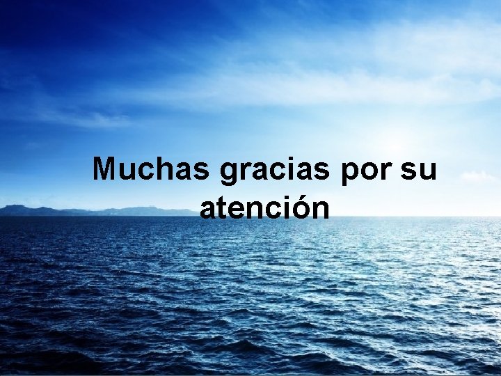 Muchas gracias por su atención 