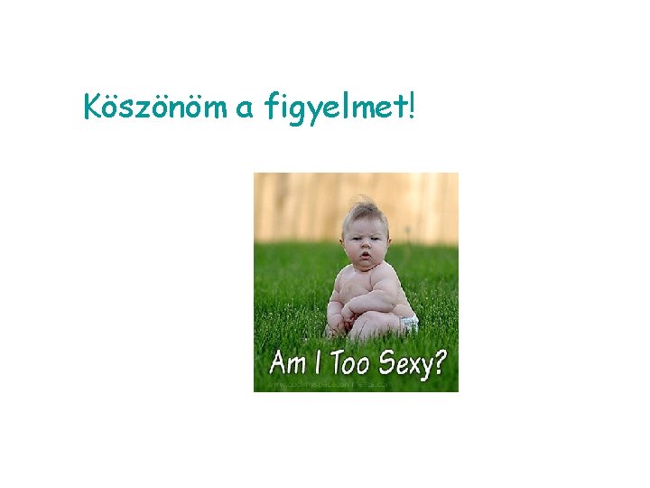 Köszönöm a figyelmet! 