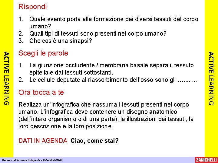 Rispondi 1. Quale evento porta alla formazione dei diversi tessuti del corpo umano? 2.