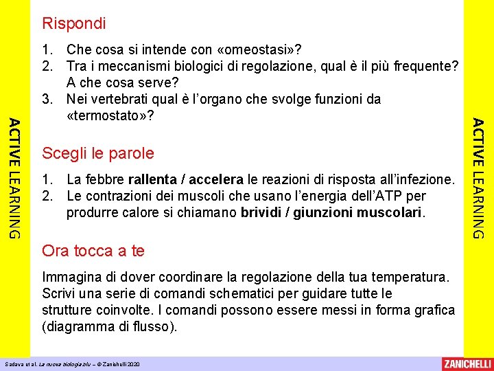 Rispondi Scegli le parole 1. La febbre rallenta / accelera le reazioni di risposta