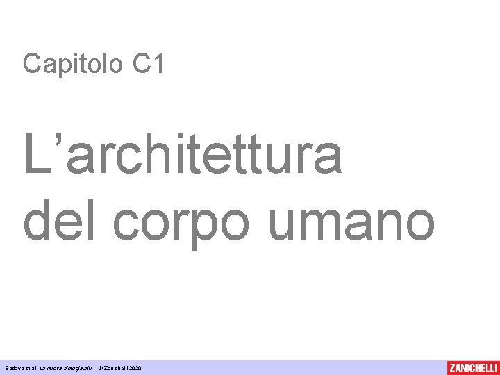 Capitolo C 1 L’architettura del corpo umano Sadava et al, La nuova biologia. blu