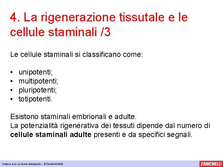 4. La rigenerazione tissutale e le cellule staminali /3 Le cellule staminali si classificano