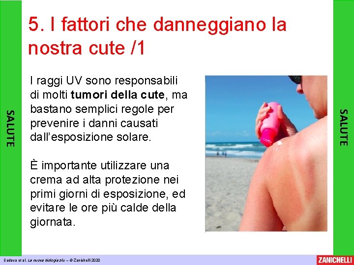 5. I fattori che danneggiano la nostra cute /1 È importante utilizzare una crema