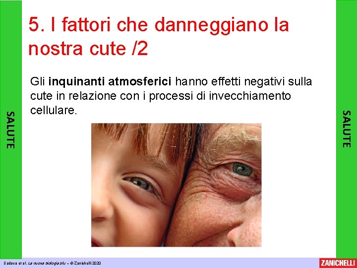 5. I fattori che danneggiano la nostra cute /2 Sadava et al, La nuova