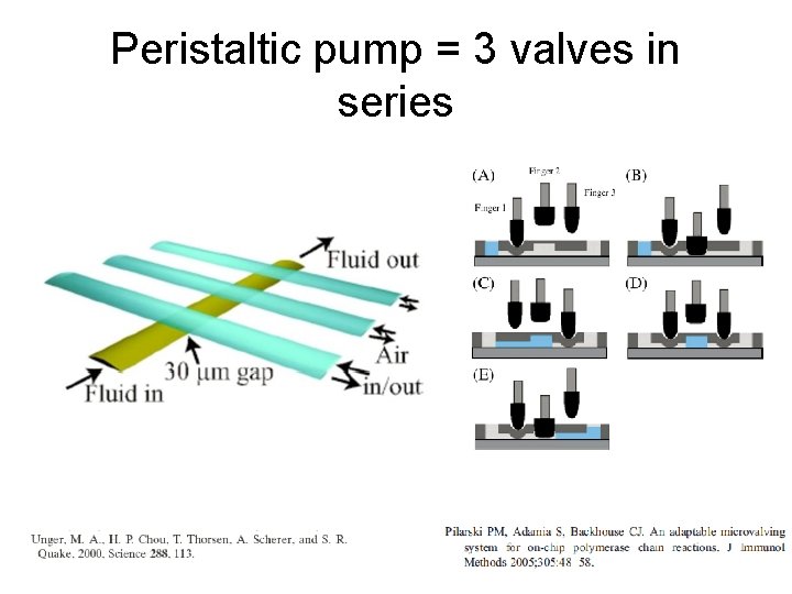 Peristaltic pump = 3 valves in series 