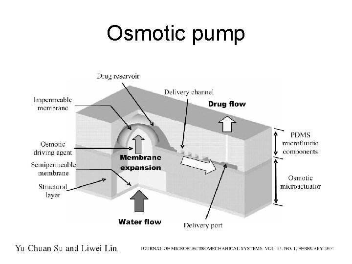 Osmotic pump 