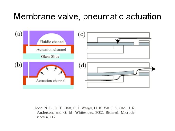 Membrane valve, pneumatic actuation 