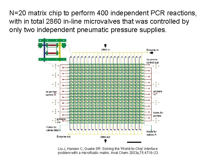 N=20 matrix chip to perform 400 independent PCR reactions, with in total 2860 in-line