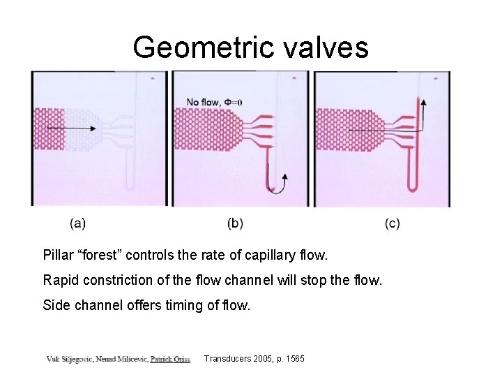 Geometric valves Pillar “forest” controls the rate of capillary flow. Rapid constriction of the