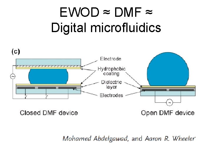 EWOD ≈ DMF ≈ Digital microfluidics 