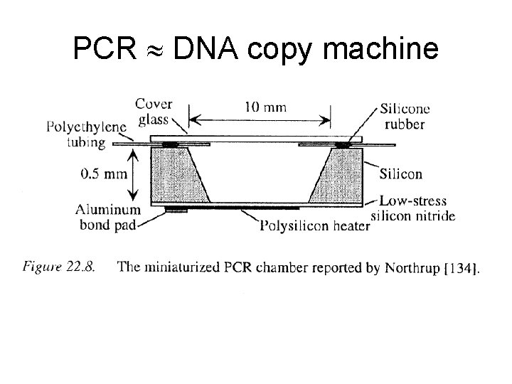 PCR DNA copy machine 