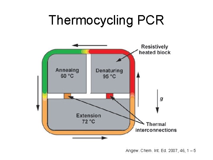 Thermocycling PCR Angew. Chem. Int. Ed. 2007, 46, 1 – 5 