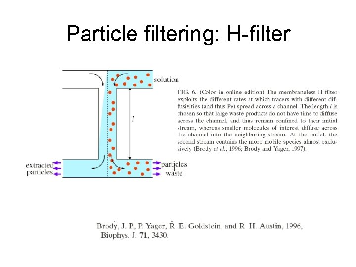 Particle filtering: H-filter 