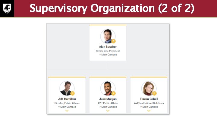 Supervisory Organization (2 of 2) • Example picture of an supervisory organization. The Senior