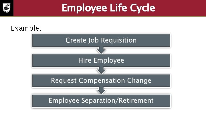 Employee Life Cycle Example: 