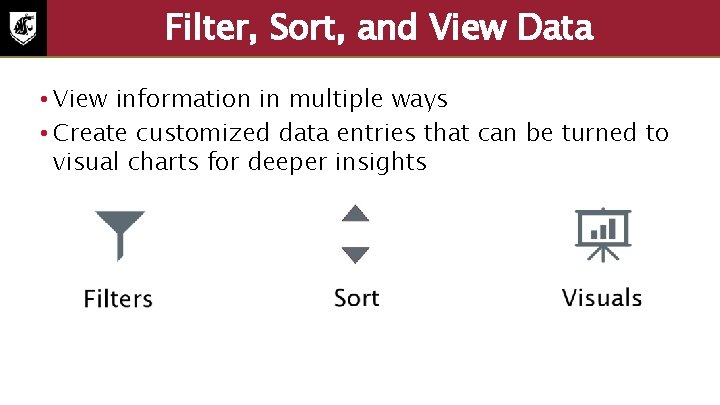 Filter, Sort, and View Data • View information in multiple ways • Create customized