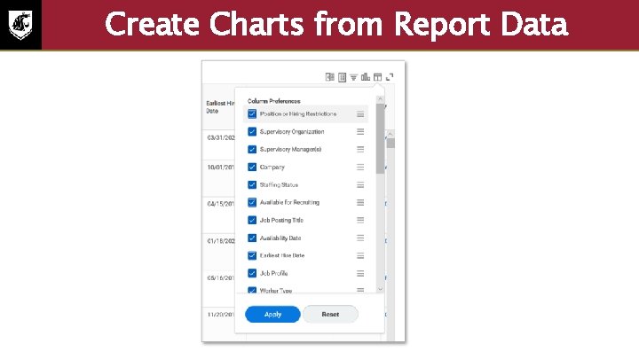 Create Charts from Report Data Screenshot of the create charts preferences 