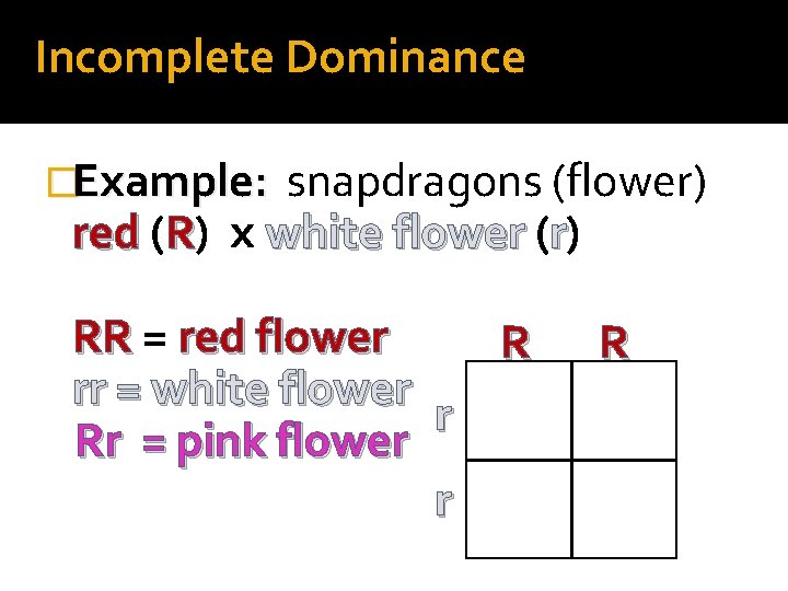 Incomplete Dominance �Example: snapdragons (flower) red (R) x white flower (r) RR = red