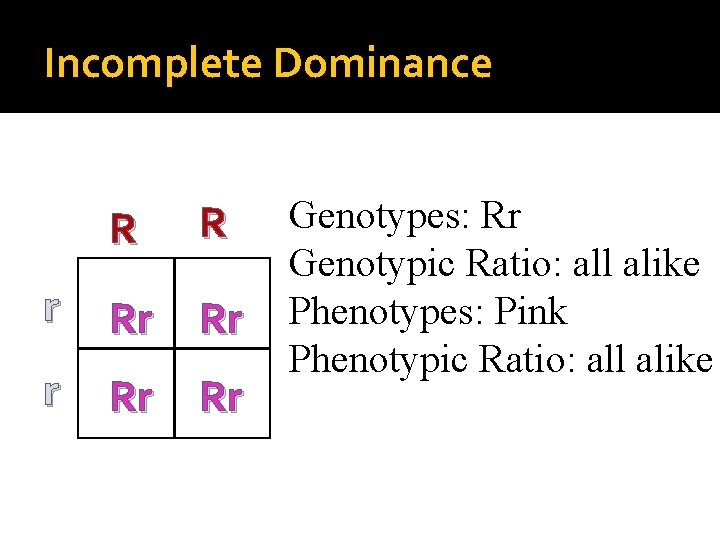 Incomplete Dominance R R r Rr Rr Genotypes: Rr Genotypic Ratio: all alike Phenotypes: