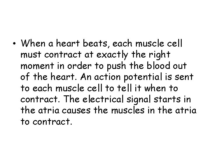  • When a heart beats, each muscle cell must contract at exactly the