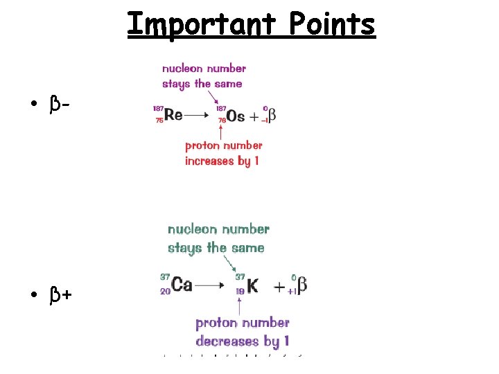 Important Points • β- • β+ 