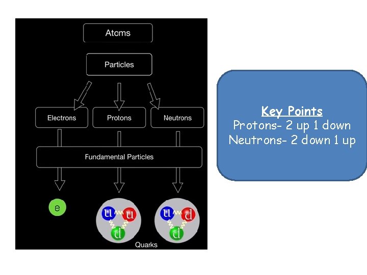 Key Points Protons- 2 up 1 down Neutrons- 2 down 1 up 