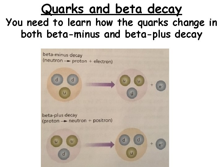Quarks and beta decay You need to learn how the quarks change in both