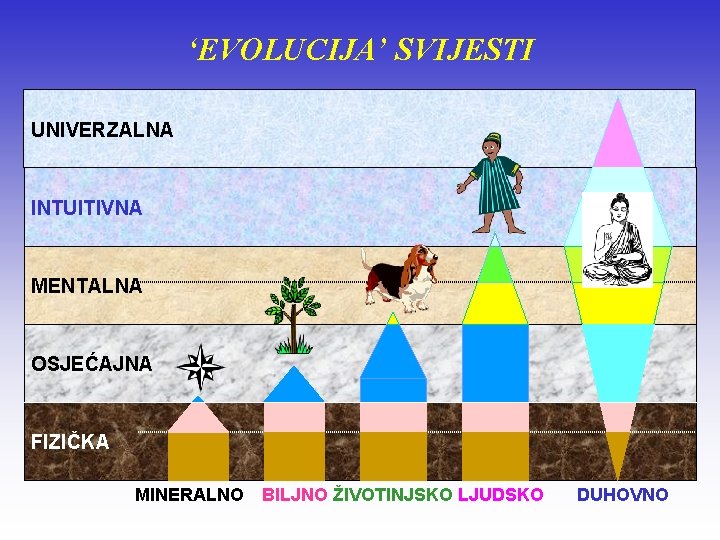 ‘EVOLUCIJA’ SVIJESTI UNIVERZALNA INTUITIVNA MENTALNA OSJEĆAJNA FIZIČKA MINERALNO BILJNO ŽIVOTINJSKO LJUDSKO DUHOVNO 