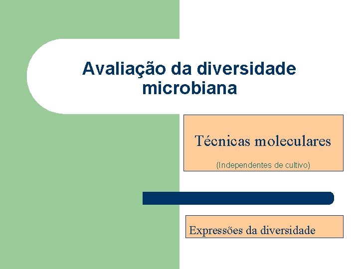 Avaliação da diversidade microbiana Técnicas moleculares (Independentes de cultivo) Expressões da diversidade 