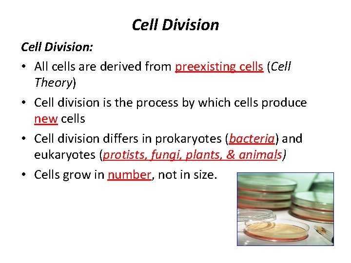 Cell Division: • All cells are derived from preexisting cells (Cell Theory) • Cell