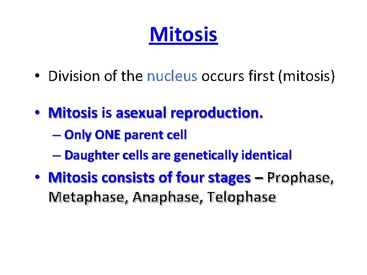 Mitosis • Division of the nucleus occurs first (mitosis) • Mitosis is asexual reproduction.