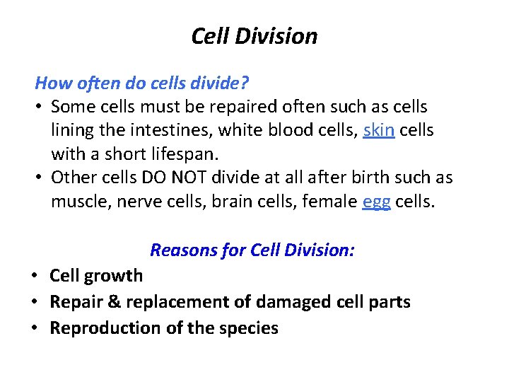 Cell Division How often do cells divide? • Some cells must be repaired often