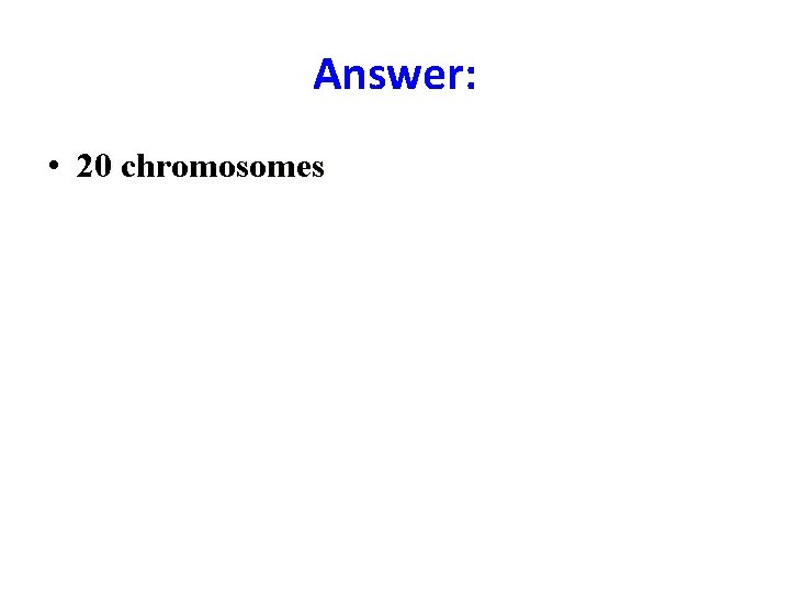 Answer: • 20 chromosomes 