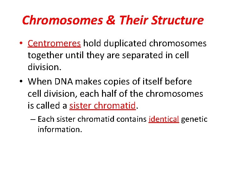 Chromosomes & Their Structure • Centromeres hold duplicated chromosomes together until they are separated