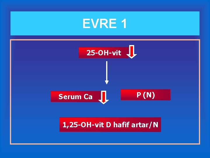 EVRE 1 25 -OH-vit Serum Ca P (N) 1, 25 -OH-vit D hafif artar/N