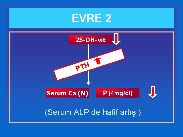 EVRE 2 25 -OH-vit PTH Serum Ca (N) P (4 mg/dl) (Serum ALP de