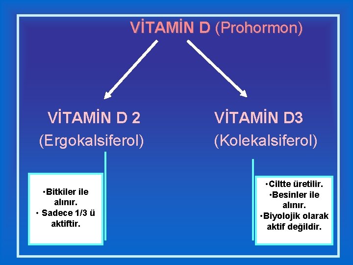 VİTAMİN D (Prohormon) VİTAMİN D 2 (Ergokalsiferol) • Bitkiler ile alınır. • Sadece 1/3