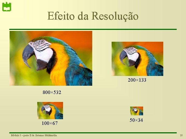 Efeito da Resolução 200× 133 800× 532 100× 67 Módulo 3 – parte II