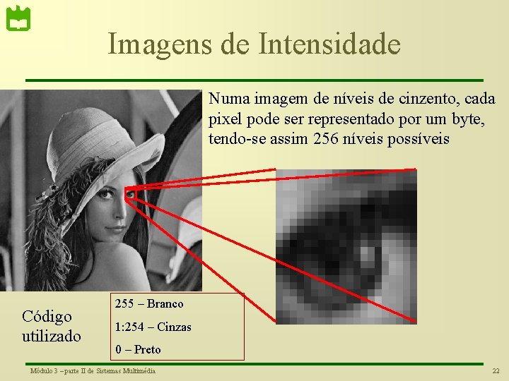 Imagens de Intensidade Numa imagem de níveis de cinzento, cada pixel pode ser representado