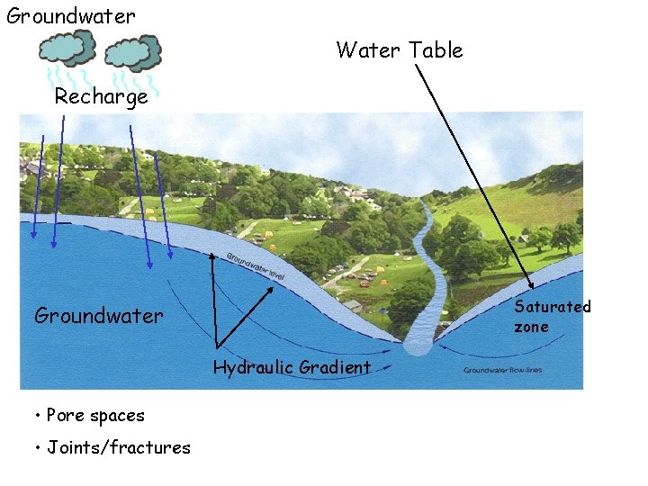 Groundwater Water Table Recharge Saturated zone Groundwater Hydraulic Gradient • Pore spaces • Joints/fractures