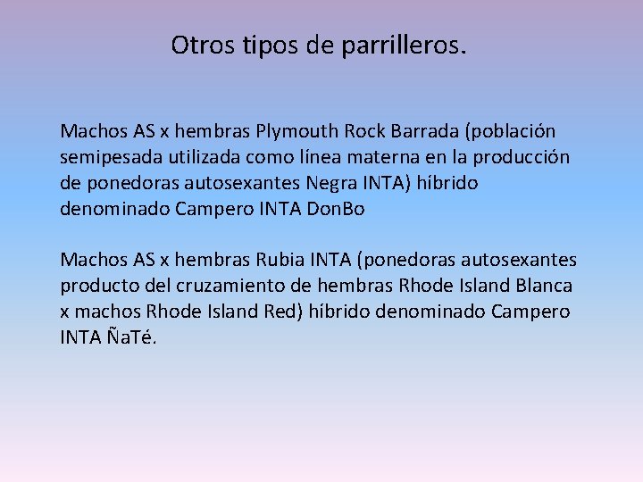 Otros tipos de parrilleros. Machos AS x hembras Plymouth Rock Barrada (población semipesada utilizada